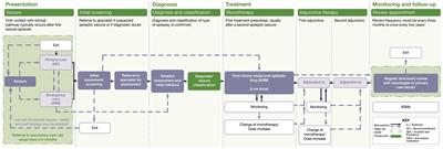 Unmet needs of people with epilepsy: A qualitative study exploring their journey from presentation to long-term management across five European countries